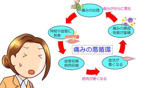 碧莲盛品牌介绍-碧莲盛bht与sht区别网—知名的碧莲盛SHT和BHT技术有什么区别网站,分享碧莲盛NHT技术好在哪知识