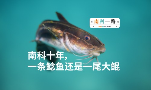 碧莲盛bht与sht区别网—知名的碧莲盛SHT和BHT技术有什么区别网站,分享碧莲盛NHT技术好在哪知识